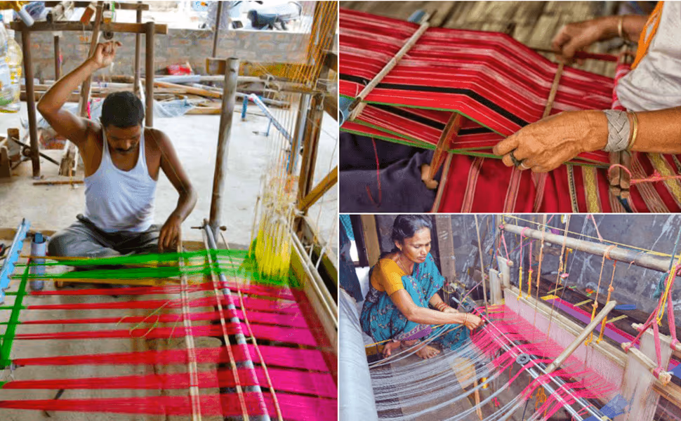 Sambalpuri saree supplier Odisha cotton ikat